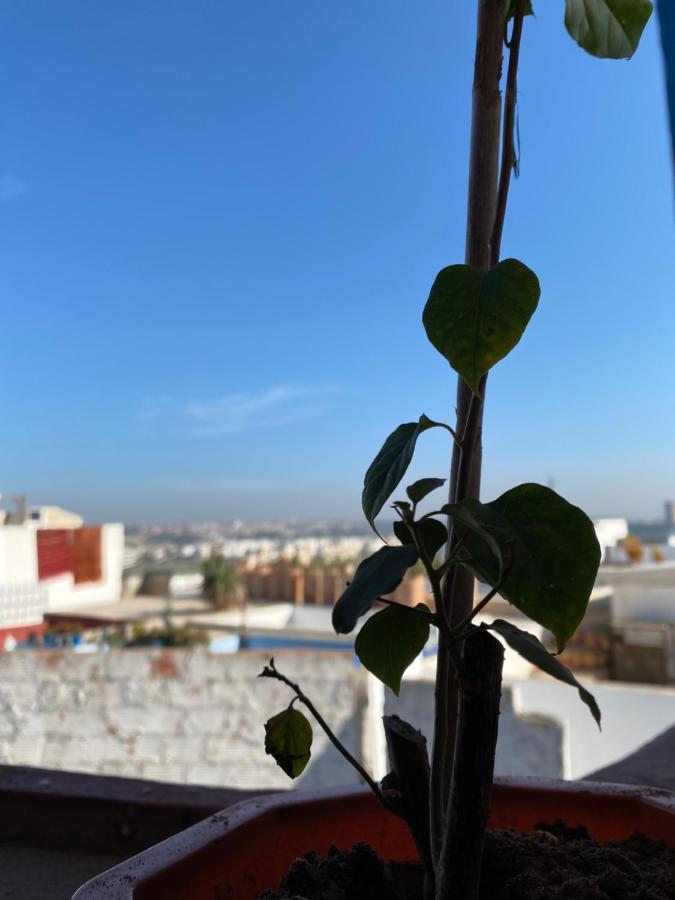 House Albahara Oudayas Daire Rabat Dış mekan fotoğraf